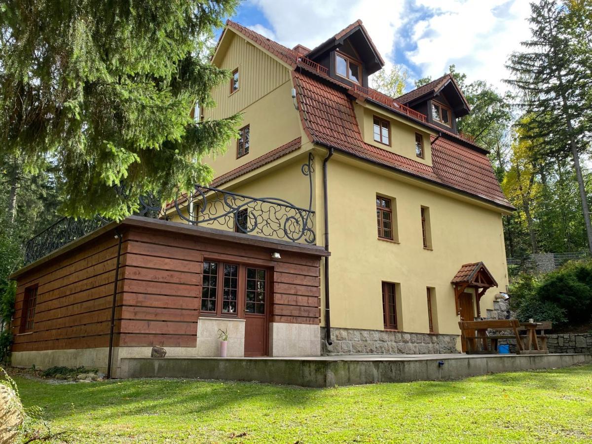 Pod Seidorfem Sosnówka